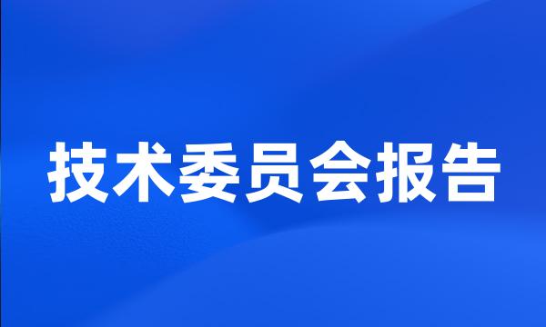 技术委员会报告