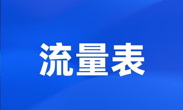 流量表