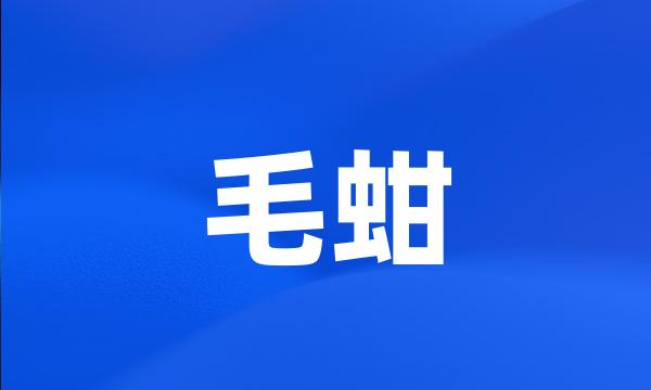 毛蚶