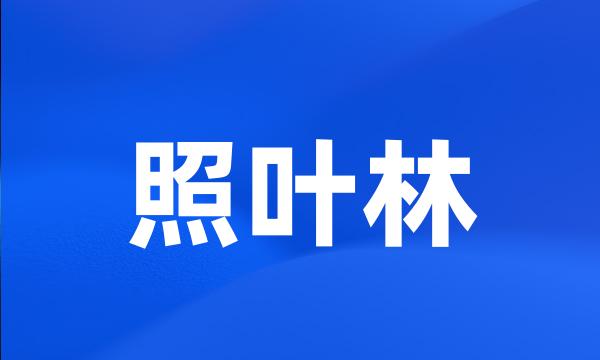 照叶林