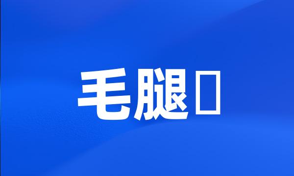 毛腿鵟