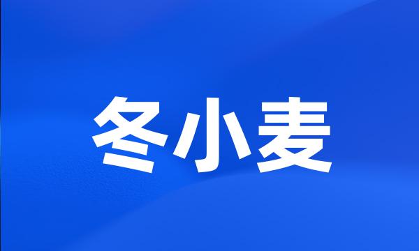 冬小麦