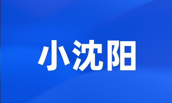 小沈阳