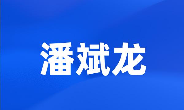 潘斌龙