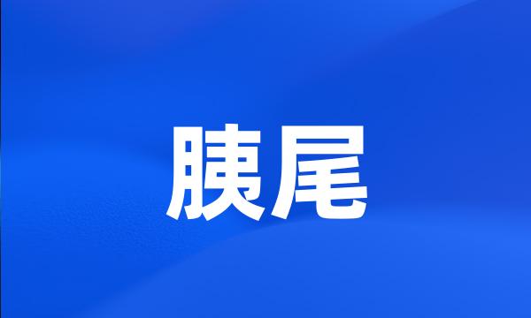 胰尾