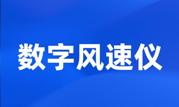 数字风速仪