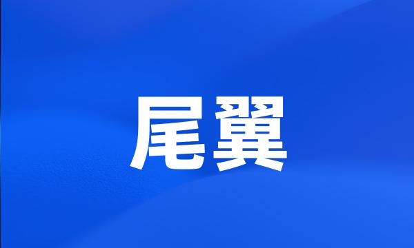 尾翼