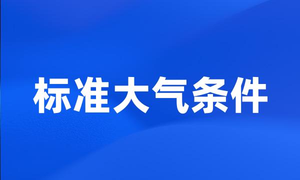 标准大气条件