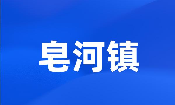 皂河镇