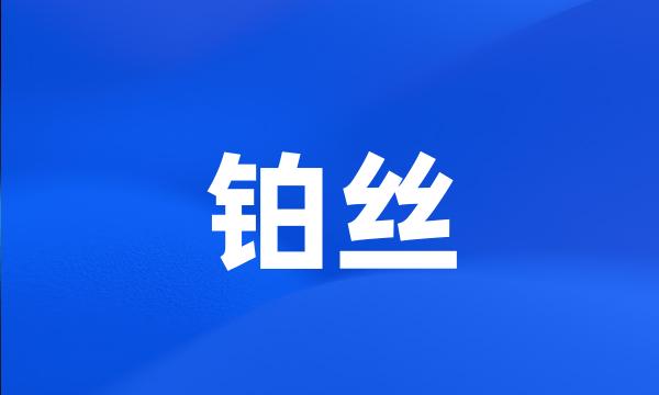 铂丝