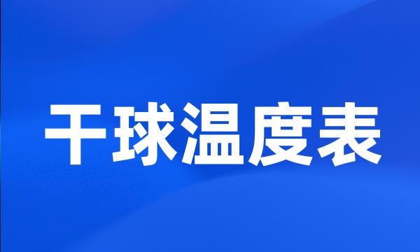 干球温度表