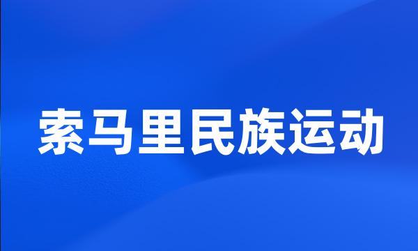 索马里民族运动