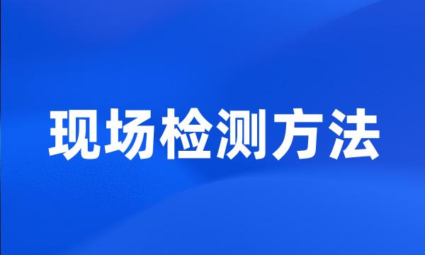 现场检测方法