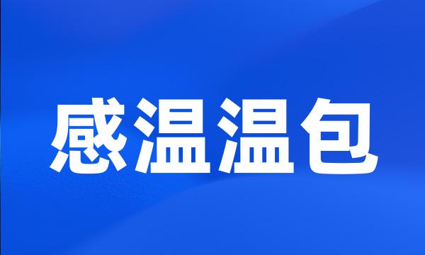 感温温包