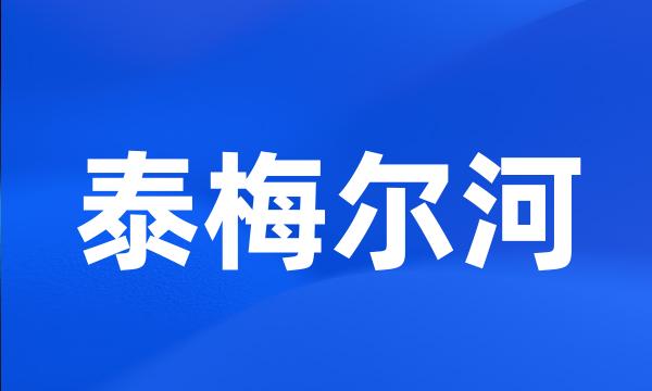 泰梅尔河