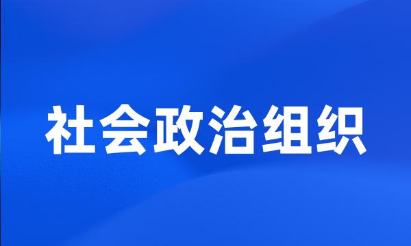 社会政治组织