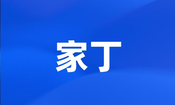 家丁