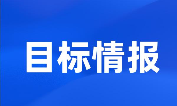 目标情报