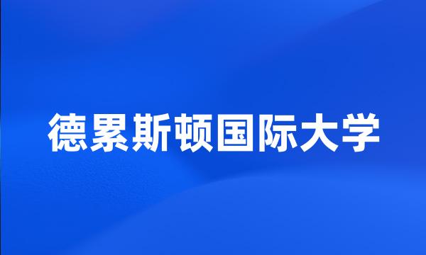 德累斯顿国际大学