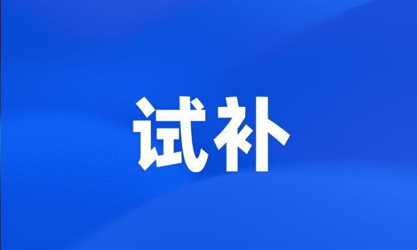 试补