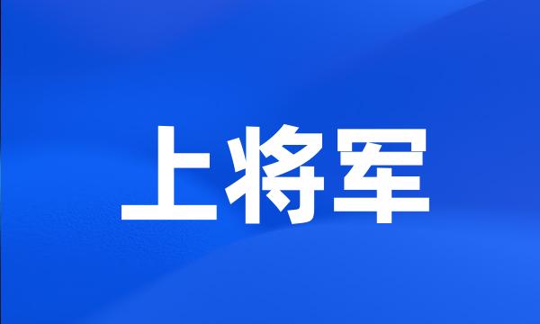 上将军