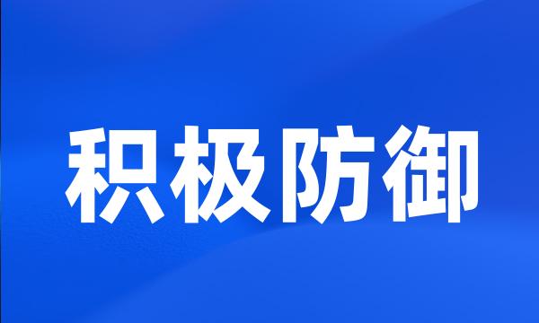 积极防御