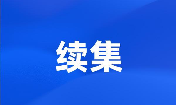 续集