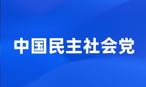 中国民主社会党