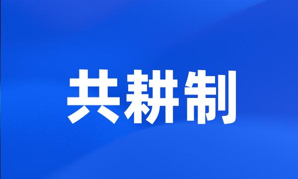 共耕制