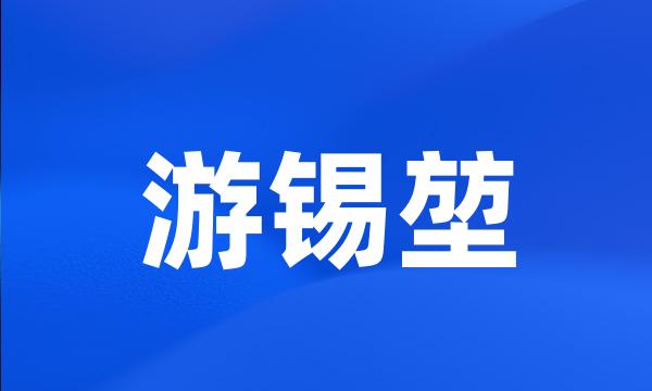 游锡堃