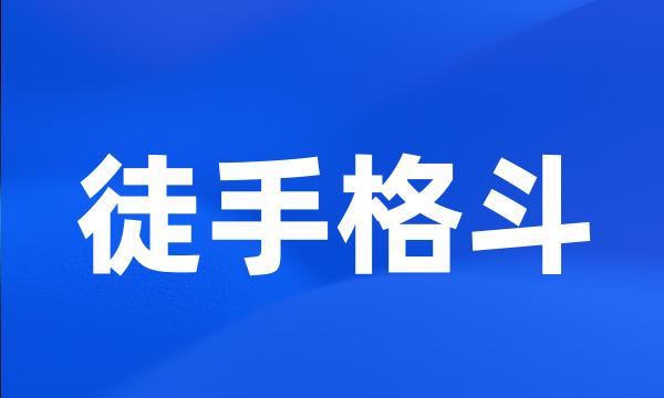 徒手格斗