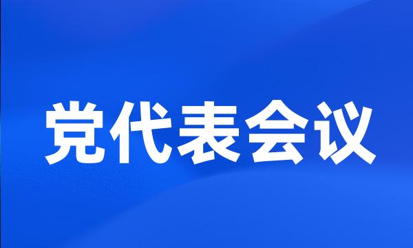 党代表会议