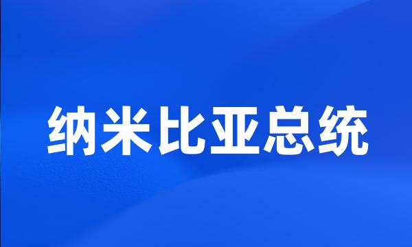 纳米比亚总统