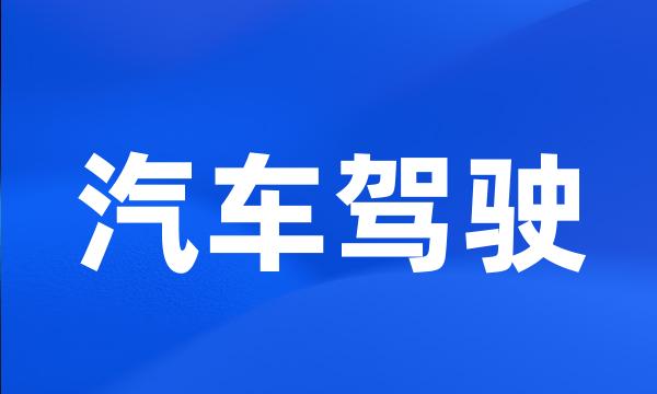 汽车驾驶