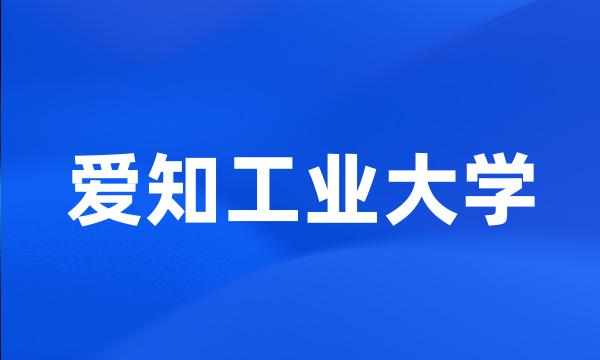 爱知工业大学