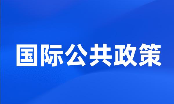 国际公共政策