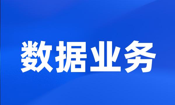 数据业务