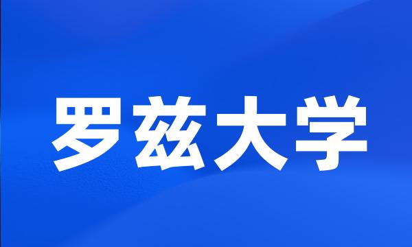 罗兹大学