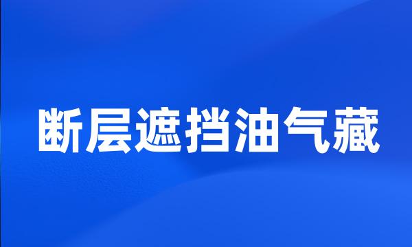 断层遮挡油气藏