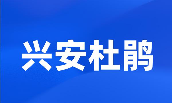 兴安杜鹃