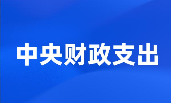 中央财政支出