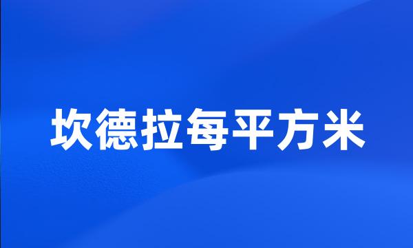 坎德拉每平方米