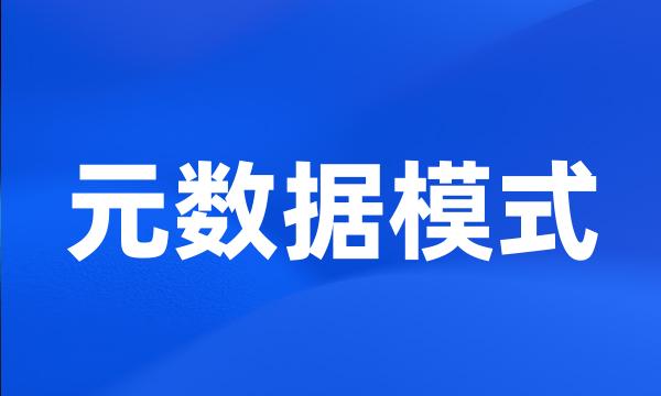 元数据模式