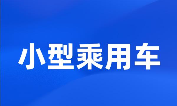 小型乘用车