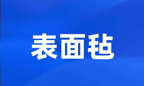 表面毡