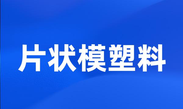 片状模塑料