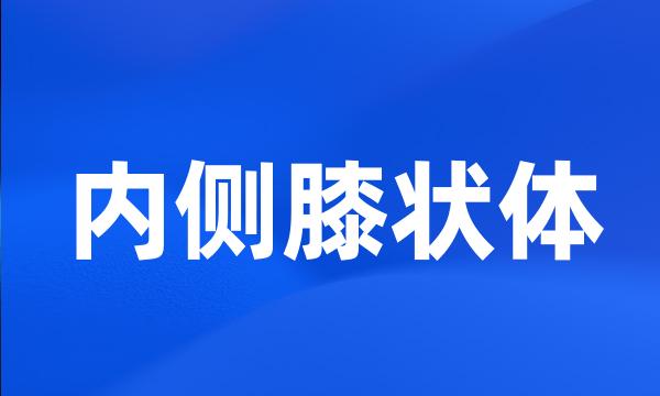 内侧膝状体