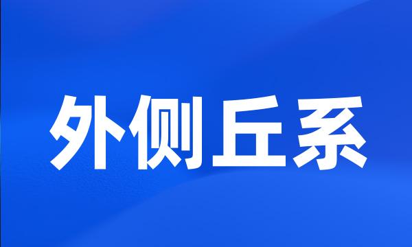 外侧丘系