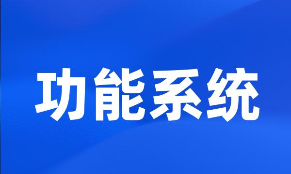 功能系统