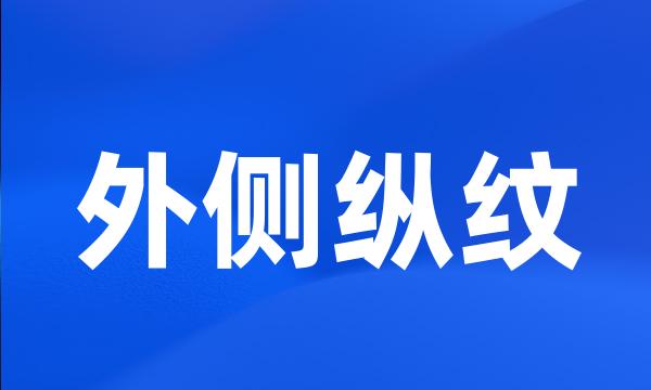 外侧纵纹